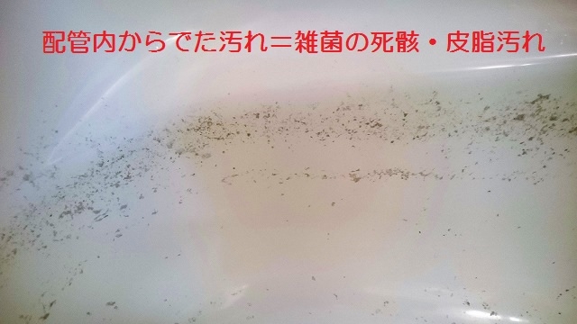配管内からでた汚れ＝雑菌の死骸・皮脂汚れ