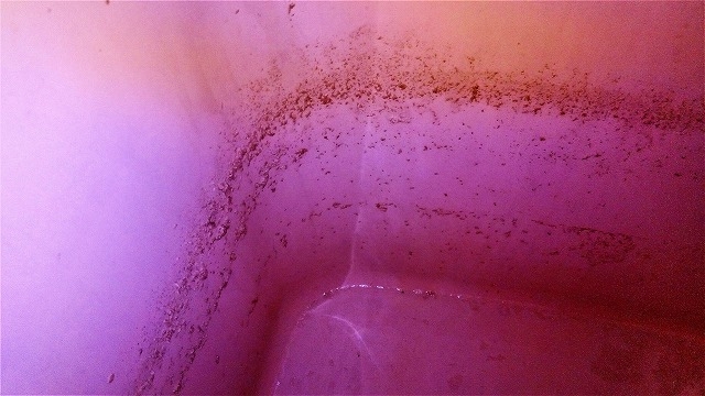 配管内から出た汚れ＝雑菌の死骸・湯垢