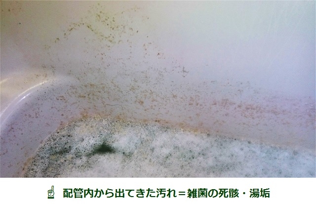 配管内から出てきた汚れ＝雑菌の死骸・湯垢