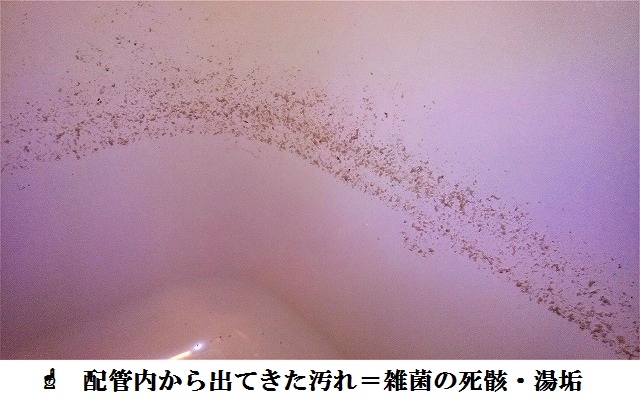 配管内から出てきた汚れ＝雑菌の死骸・湯垢