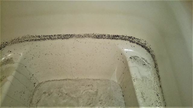 風呂釜洗浄後、配管内から出てきた汚れ