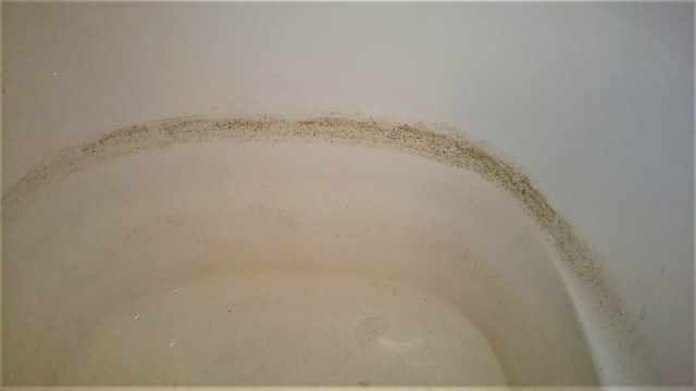 配管内から出てきた汚れ＝湯垢・皮脂汚れ・雑菌の死骸など