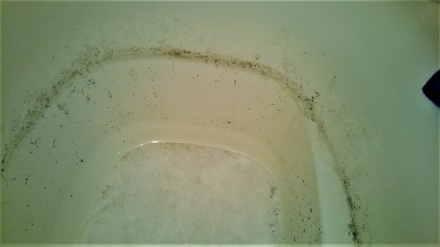 配管内から出てきた汚れ＝湯垢・皮脂汚れ・雑菌など