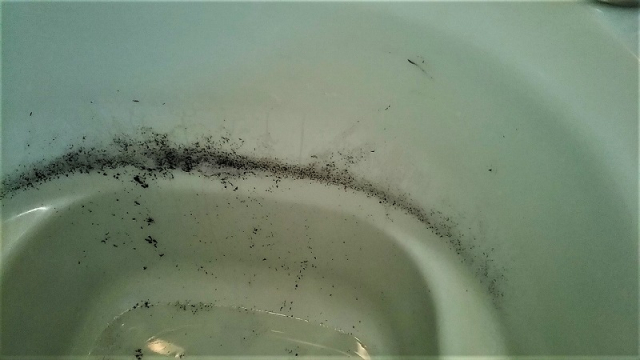 配管内から出てきた汚れ＝湯垢・皮脂汚れ・雑菌の死骸など